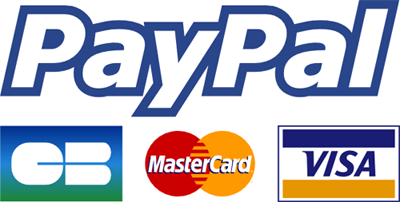 logo paypal pay for transferts in paris